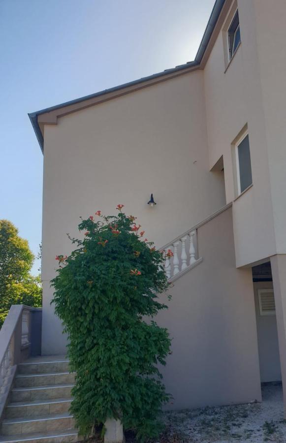 House Aurora Daire Bibinje Dış mekan fotoğraf